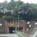 아로니아 퀸 | 정선 에메랄드 글램핑 풀빌라 펜션 리얼 1박 후기