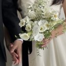 예플리 이미지