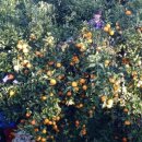 정성안경원 이미지