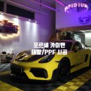 랩피디움