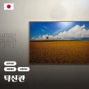 나무갤러리 - 전주시 덕진구 온고을로 286 | 삿포로 비에이 투어 탁신관 자작나무 숲길 갤러리 입장료 기념품 추천 위치 후기