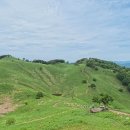 초원약수터 | 민둥산 등산 후기, 지금 가기 좋은 강원도 명산과 돌리네