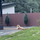 하구암리21 네이버블로그