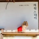 계원스테이 이미지