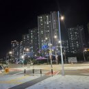 시흥유도체육관 | 시흥유도 잘 가르치는 시흥 더퍼스트 유도 방문 후기