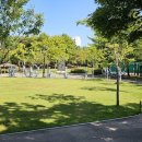 평촌중앙공원 이미지