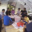 호국농장 이미지