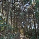 금오도 비렁길 | [여수] 금오도 비렁길 3코스 매봉전망대까지 다녀온 후기(feat. 금오도 비렁길 코스)