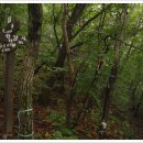 미성파출소 이미지