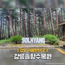 솔향수목원(방문자쉼터) | 강릉 여행 시 부모님과 가볼 만한 곳 '강릉솔향수목원'