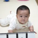 댕이맘마 이미지