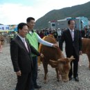 주흘문화센터 이미지