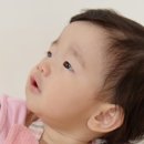 뚜띠 스튜디오