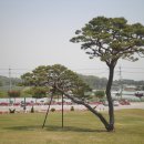 삽다리 곱창 이미지