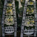 비슬초등학교 이미지