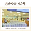 경주 황남빵 원조와 김용경 경주빵 내돈내산리뷰! (주차장 팁)