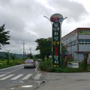 화산오리