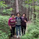 정은숙 농장 이미지