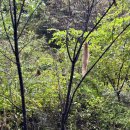 💜아라반 9월4주이야기💜+옥화자연휴양림 숲 체험 이미지