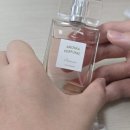 진로체험 아로마테라피스트 이미지