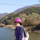 창환농장 Daum카페