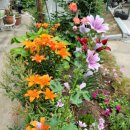 복우자동차써비스 이미지