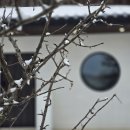 스테이 누누 이미지