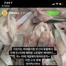 젤뚜 이미지