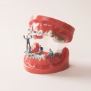 서울올바른치과교정과치과의원 이미지