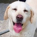 웅천제림의원 이미지