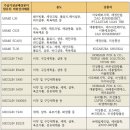 아모레미성