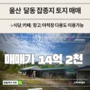 다부동산중개 네이버블로그