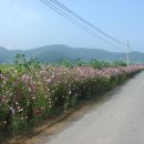 현천3구 이미지