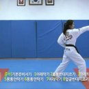 도원태권도 이미지