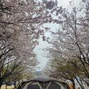 씨밀레자연관광농원 이미지