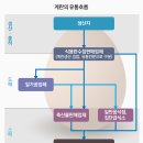 우리계란 이미지