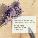 천사의 선물 이미지