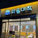 포항 법원 디저트 맛집 와플대학 포항양덕캠퍼스