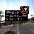 수원-남부-103 | 호야맘 추천 | 비 오는 날, 아이랑 갈 곳 고민 끝 실내 갈 곳 5곳 딱 정해서 알려드려요~(수원, 경기남부)