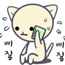 경산중앙유치원 이미지