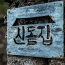 신돌집