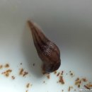 민달팽이프로잭트 이미지