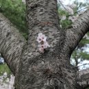 해다미펜션 이미지