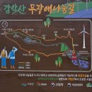 허영근약국 Daum카페