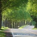 산약초 생활건강 이미지