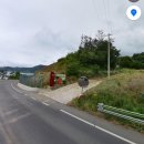 구룡주유소 이미지