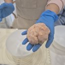 멍멍이츠 이미지