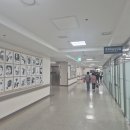 아산병원 (동관뒤) 이미지