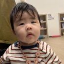 우람동물약국 | 성동구와 동대문구 사이 어디쯤에서 육아하는 이야기