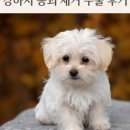 애니컴 메디컬센터 이미지